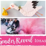 Gender Reveal Ideas