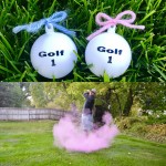 Gender Reveal Ideas