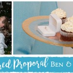 Featured Proposal: Ben and Irena