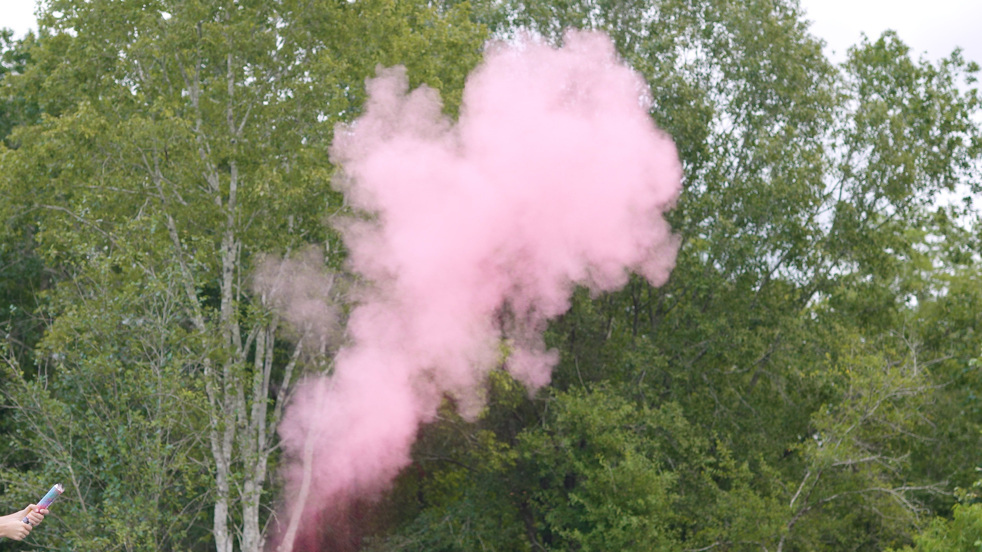 Pink Powder Cannon – Superior Celebrations