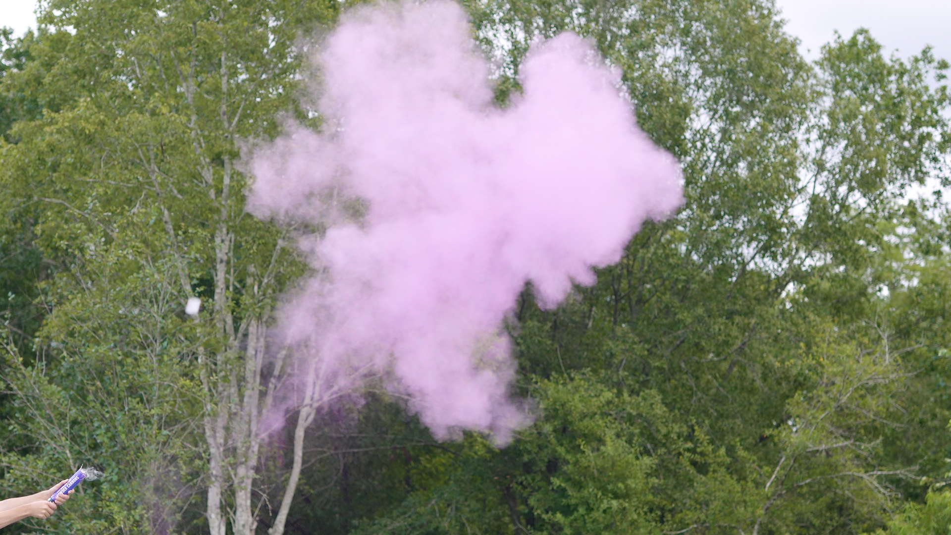 Purple Powder Cannon – Superior Celebrations